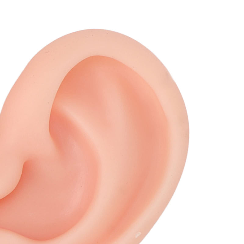 Human Ear Model, 1 Pair Soft Silicone Simulation Ear for Piercing Exercises and Jewelry Display (1#) 1#
