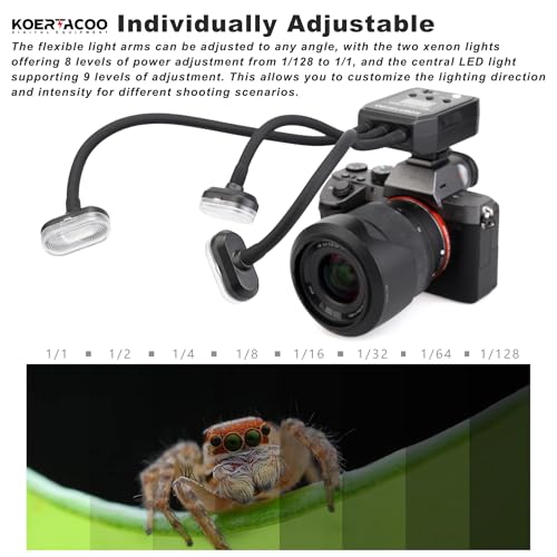 Triple Macro Flash, 2 Xenon (5600K),1 x LED Solid Light (6500K).