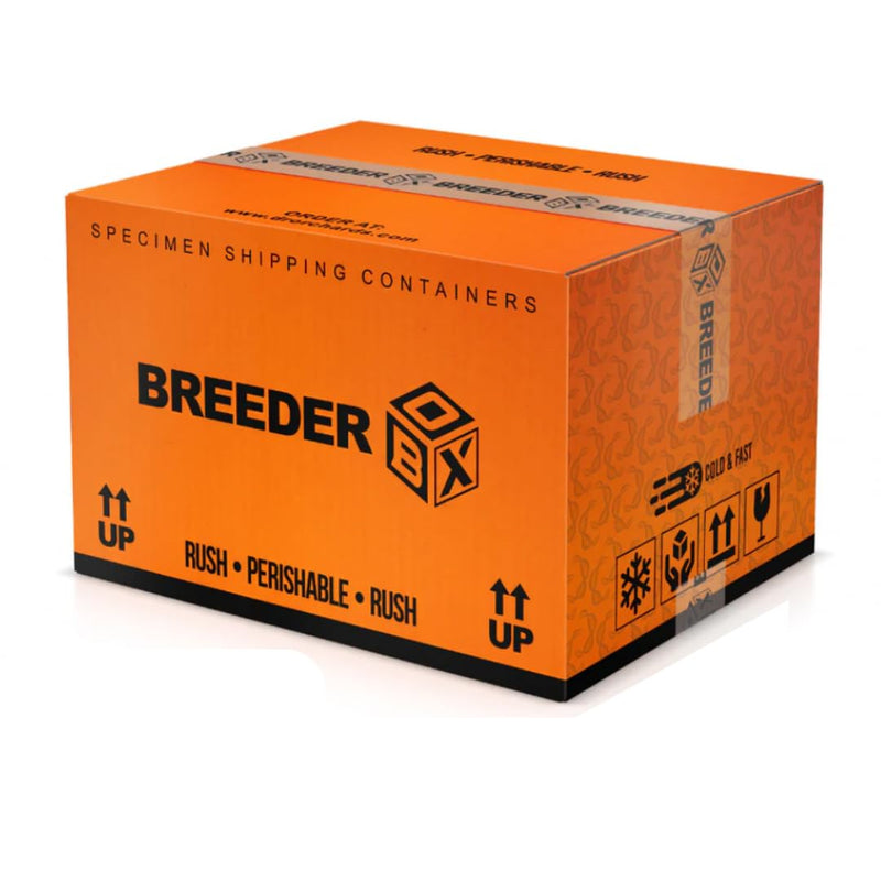 [Australia - AusPower] - Breeder's Box Dog Semen Shipping for Breeders, Disposable Semen Transport, Canine Semen Shipping Box, Cools up to 48 Hours, Disposable Semen Transport 