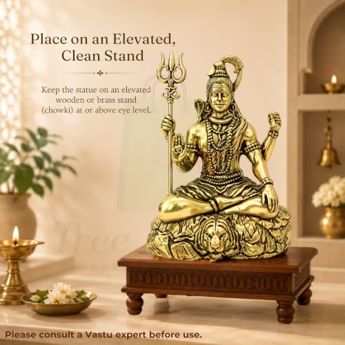 Vastu Brass Shiv Ji Statue |Size-5cm Approx |Weight-104gm Approx |Vastu Remedy for Home & Office |Shiv Ji Idol for Pooja |Brass Murti