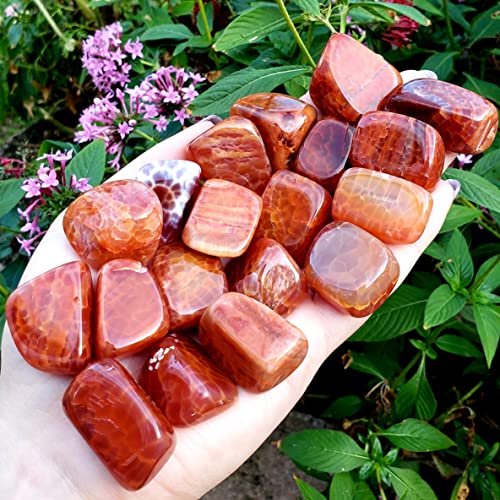 Fire Agate from Mexico Tumbled & Hand Polished Natural Protection & grounding Crystal Healing Metaphysical Spiritual Gemstone 1pc