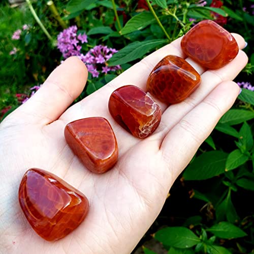 Fire Agate from Mexico Tumbled & Hand Polished Natural Protection & grounding Crystal Healing Metaphysical Spiritual Gemstone 1pc