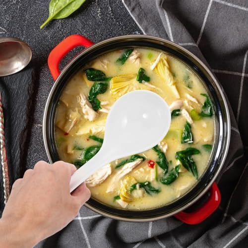 Porcelain Soup Ladle 10.2 Inch Large Bone China Chinese Soup Spoon Dishwasher and Microwave Safe for Pho Ramen Cooking and Serving