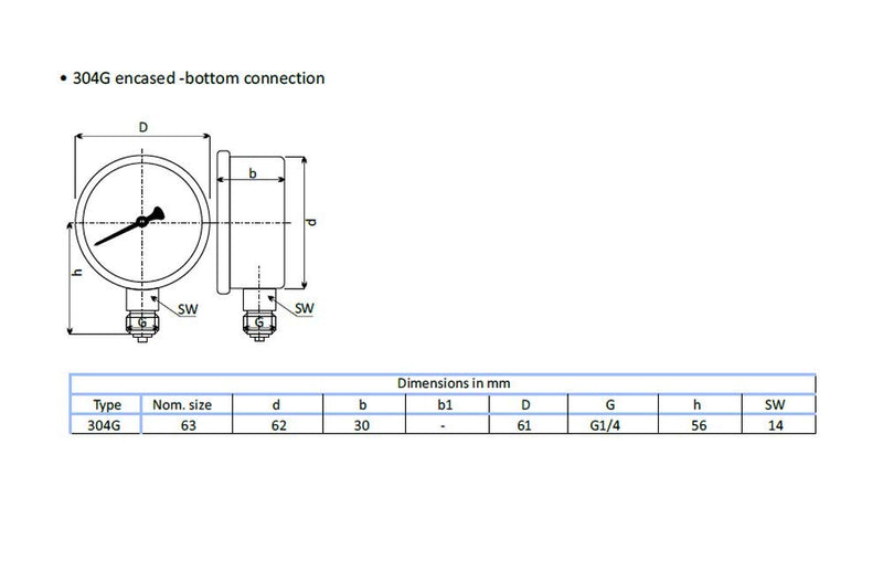 [Australia - AusPower] - THERMIS Pressure Gauge 304G 1/4 Connection from Below (0 - 250 bar) 63 mm 0 – 250 bar 
