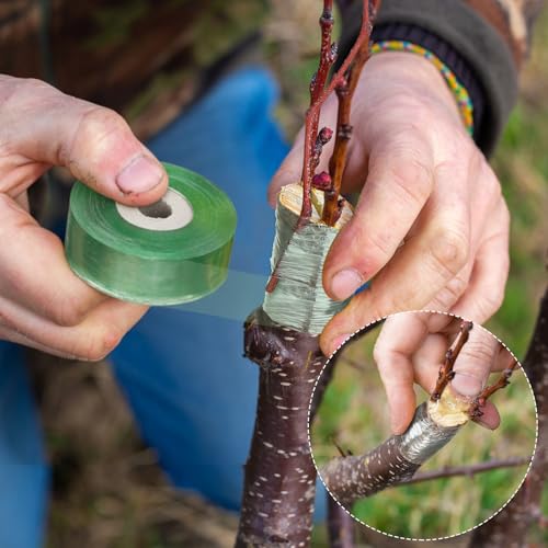Leriton grafting tool kit with grafting wax, knife, and tape for fruit trees