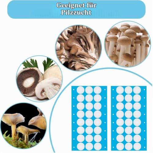 GORGECRAFT 144 Pieces 6 Sheets Synthetic Filter Sticker Disc 20 mm Self-Adhesive Monotub Filter Discs 0.3 μm Wide Neck Preserving Jar Filter Patch Tape for Mushroom Breeding Supplies Filter Pad Replacement 144pcs 20mm