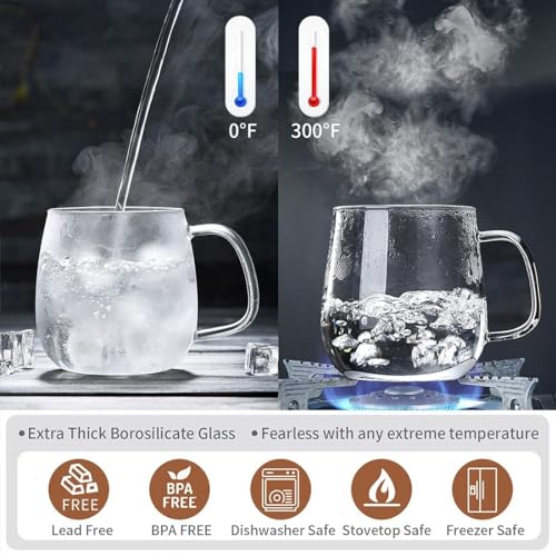 DOPUDO Glass Teacups 2 Pack Glass Tea Cup with Infuser and Lid, 17.6oz/520ml Large Borosilicate Teacup,Tea Clear Mug Cup for Loose Leaf Blooming Tea, Microwave & Dishwasher Safe. 17.6 fluid_ounces