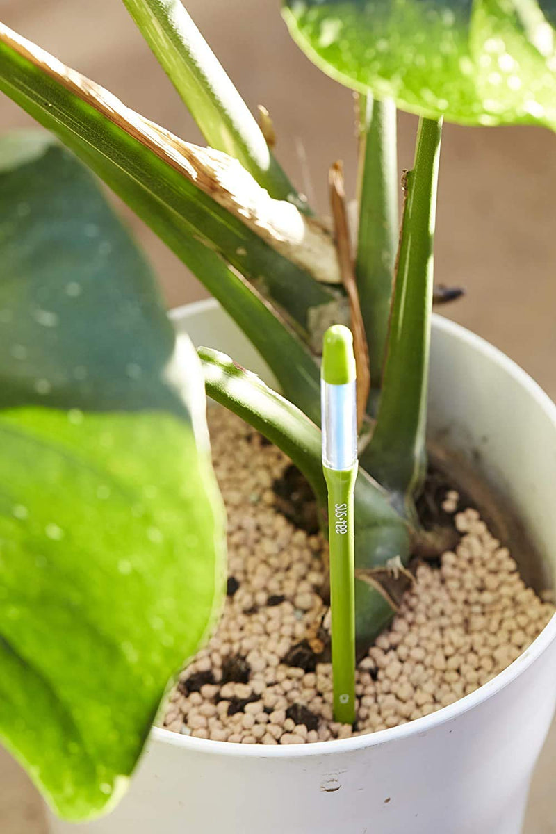 Sustee Aquameter, Set of 5, Plant Soil Moisture Sensor (Green, Large) youth large / 11-13 Green