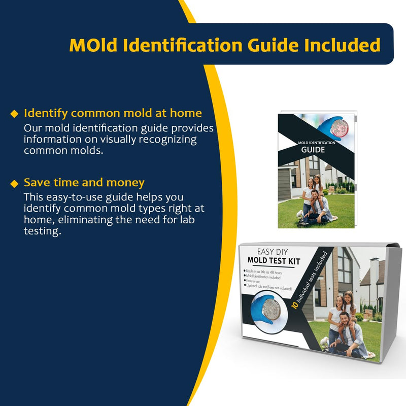 [Australia - AusPower] - Mold Testing Kit with 10 Individual Tests - DIY Mold Test Kit for Home - Includes Detailed Mold Identification Guide - Fast and Reliable Mold Detector for Home 