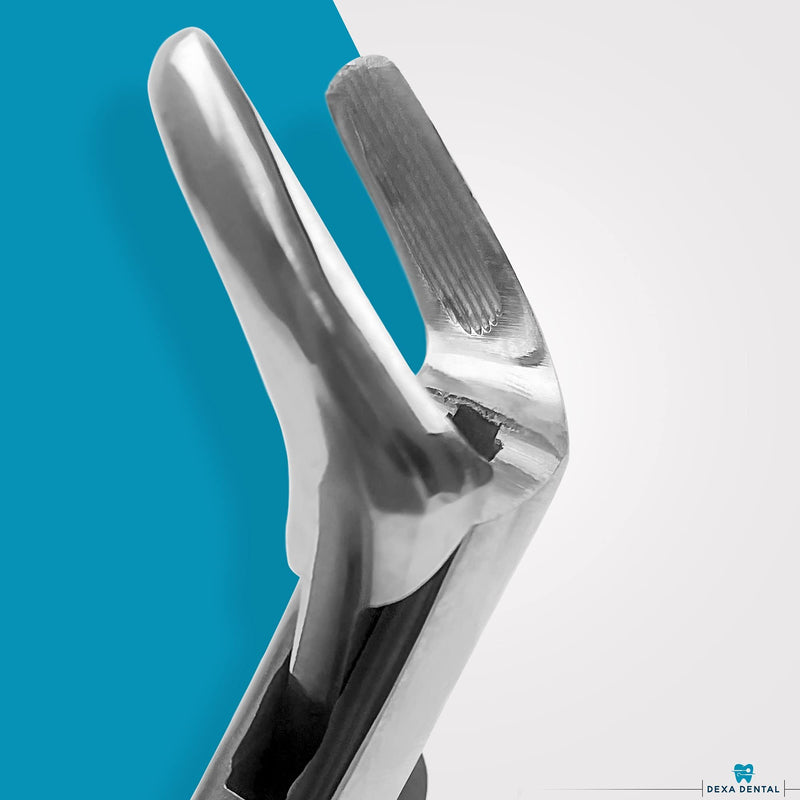 [Australia - AusPower] - Heavy Duty Dental Extracting Forceps # 150# 151# 23, Apical Forceps, Cowhorn Forceps, Lower Molars, Atraumair - 3 Pcs #150+151+23 
