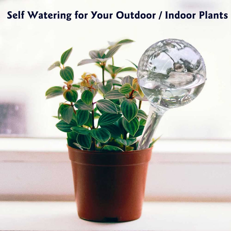 [Australia - AusPower] - 10pcs Plant Watering Devices, Planter Self Watering Globes for Home Potting, Plastic Garden Flower Plant Watering Spikes Automatic Plant Waterer System Set Suit for All Indoor Outdoor Plant B.clear 