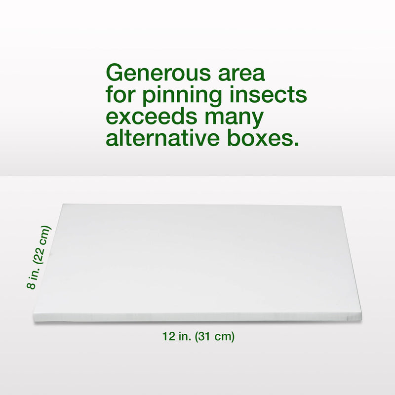 [Australia - AusPower] - Insect Pinning Box for Entomology | 13" x 9" x 2.5" | Includes White Foam to Hold Pins in Place | for Butterfly, Moth and Bug Collections and Specimen Displays 1 