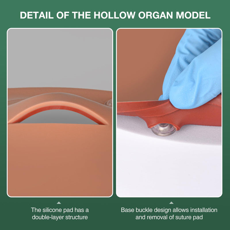 [Australia - AusPower] - Hollow Organ Suture Simulation Model, Suture Practice Kit for Medical Students, Surgical Kit for Medical Training, Nursing Doctor Practice Suture Pad(Replaceable Silicone Pad) 