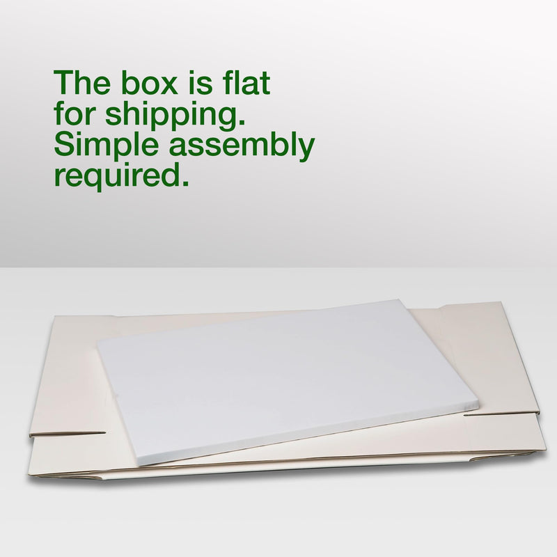 [Australia - AusPower] - Insect Pinning Box for Entomology | 13" x 9" x 2.5" | Includes White Foam to Hold Pins in Place | for Butterfly, Moth and Bug Collections and Specimen Displays 1 