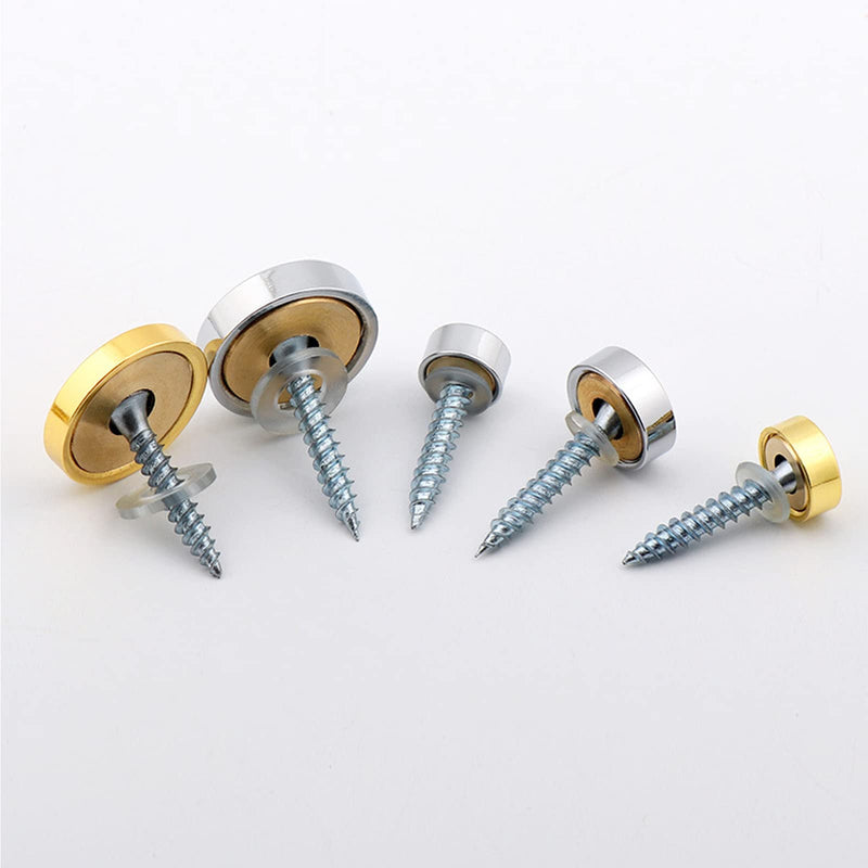 [Australia - AusPower] - Mirror Screws Decorative Cover Cap Nails for Sign Advertising Fasteners, Polished Brass Silver, 10mm 8pcs 