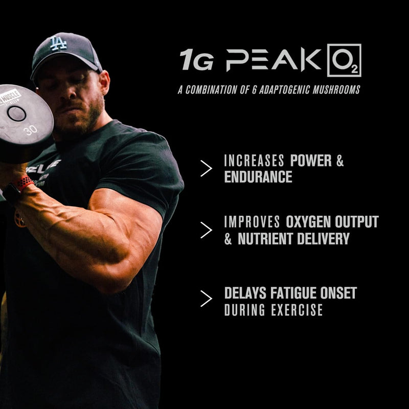 Jacked Factory Build-XT Daily Muscle Builder & Performance Enhancer - Muscle Building Supplement for Muscular Strength & Growth | Trademarked Ingredients Peak02, ElevATP, & Astragin - 120 Veggie Pills 120 Count (Pack of 1)