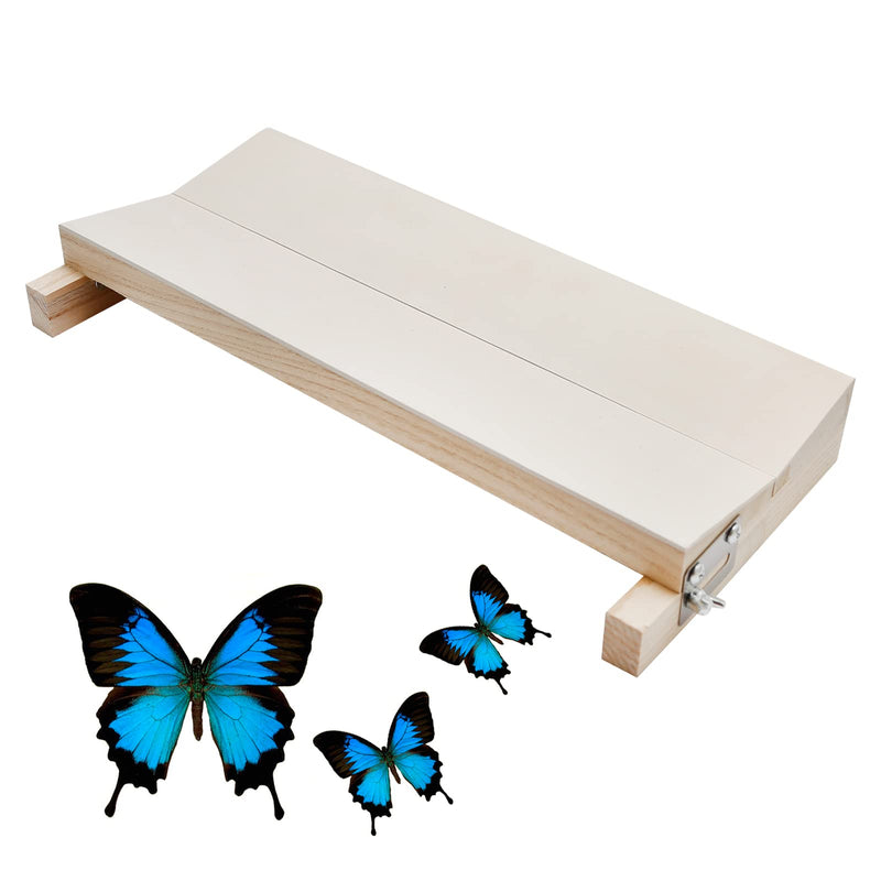 [Australia - AusPower] - Adjustable Insect Pinning Spreading Board Specimen Display Board Pinning Board Spreading Mounting Board for Science Education 
