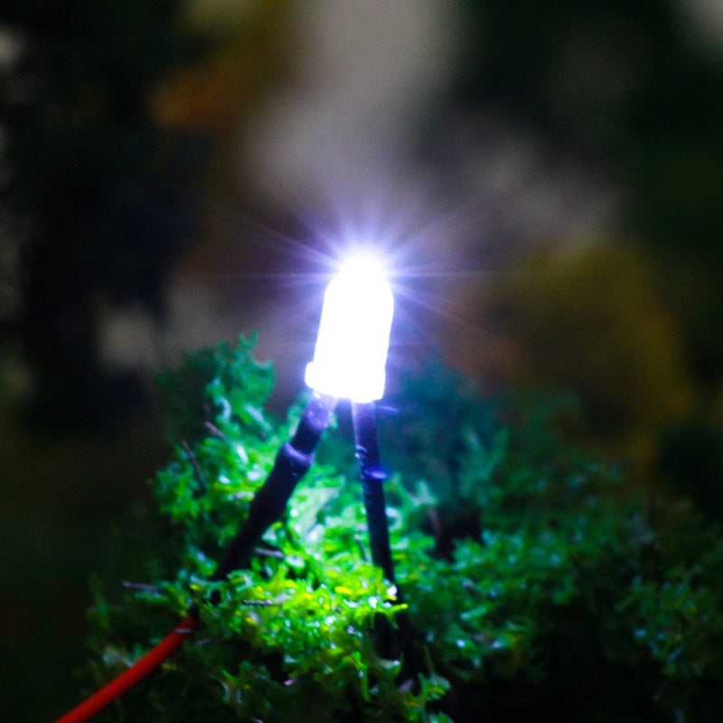 [Australia - AusPower] - Evemodel L125W Pack of 20 LED with Cable 5 mm White 12000 mcd 12 V 