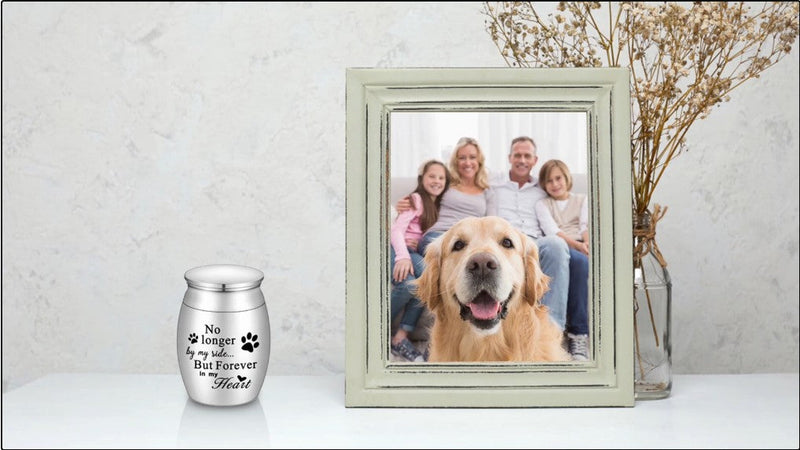 XIUDA 1.57 inches Mini Pet Memorial Small Urns for Dog and Cat Ashes, Stainless Steel Cremation Urn, Pet Paw Print Keepsake Urn for Ashes - No Longer by My Side Forever in My Heart S Silver