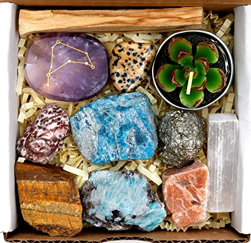 DANCING BEAR Capricorn Zodiac Healing Crystals Gift Set (14 Pc): 9 Stones, 18K Gold-plated Constellation Necklace, Meteorite, Succulent Candle, Palo Santo Smudge stick, and Info Guide, Made in the USA