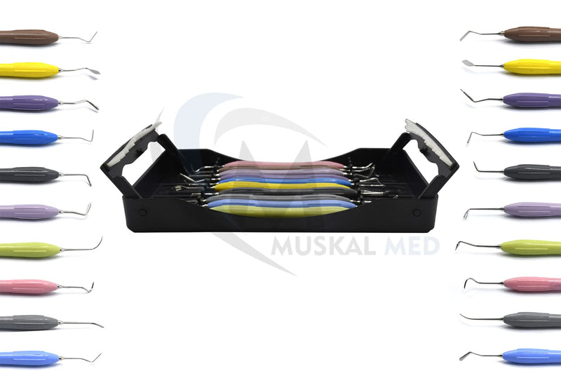 [Australia - AusPower] - Silicone Handle Dental Composite Filling Restorative Instruments Kit 10pcs Tools Set with Cassette DN-2245 