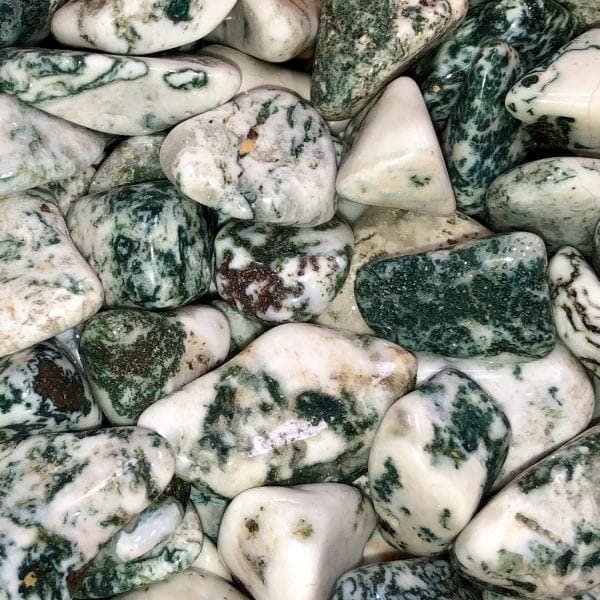 Pachamama Essentials Tree Agate Tumbled - Healing Stone - Crystal Healing 20-25mm (5) 5