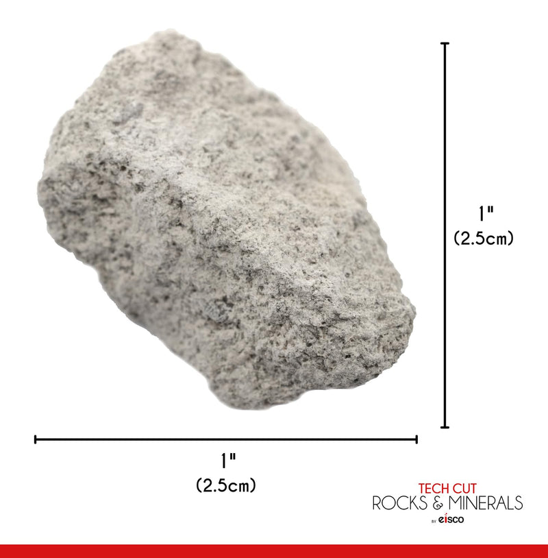 [Australia - AusPower] - EISCO 12PK Oolitic Limestone, Sedimentary Rock Specimens - Approx. 1" - Geologist Selected & Hand Processed - Great for Science Classrooms - Class Pack 12 