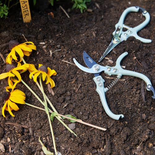 Modern Sprout sage pruning shears and plant mister botanical kit for plant care