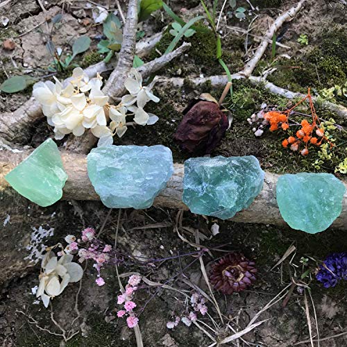Zenkeeper 1Lb Green Fluorite Crystal Rocks Raw Stones for Tumbling, Green Natural Fluorite Crystals Bulk Rough Gemstone for Jewelry Making, Healing, Meditation, Sculpture