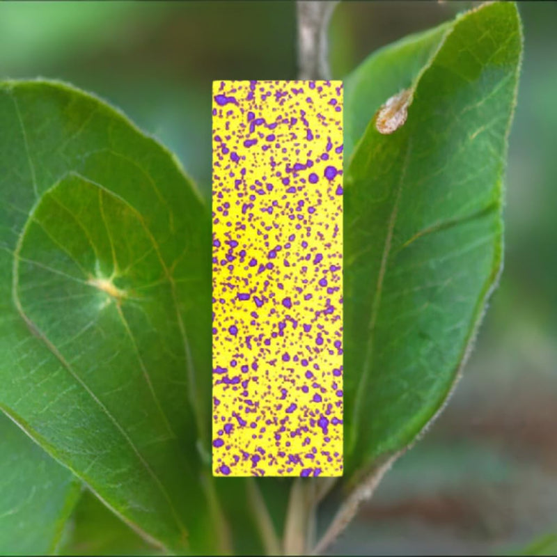 [Australia - AusPower] - SpotOn Water Sensitive Paper (WSP) for Sprayer Calibration - One Pack of 1 x3 Paper - 50 Sheets Per Pack - Reduce Waste and Ensure Consistent Application of Spray Droplets - Assess Spray Coverage 