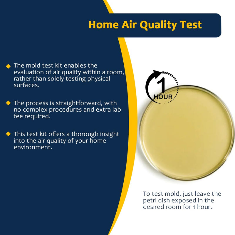 [Australia - AusPower] - Mold Testing Kit with 10 Individual Tests - DIY Mold Test Kit for Home - Includes Detailed Mold Identification Guide - Fast and Reliable Mold Detector for Home 