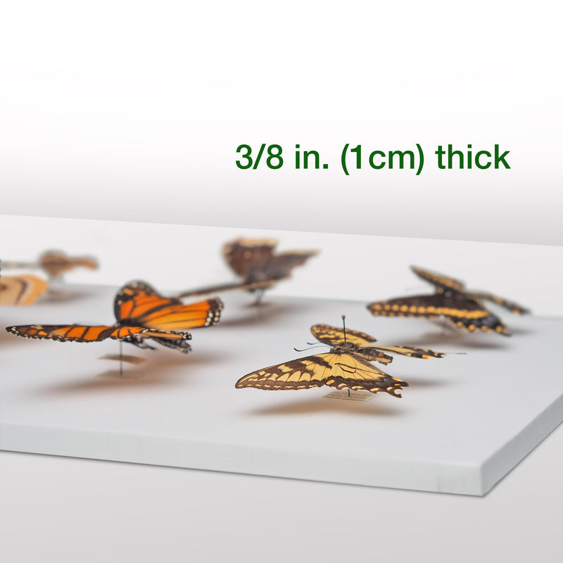 [Australia - AusPower] - Insect Pinning Box for Entomology | 13" x 9" x 2.5" | Includes White Foam to Hold Pins in Place | for Butterfly, Moth and Bug Collections and Specimen Displays 1 