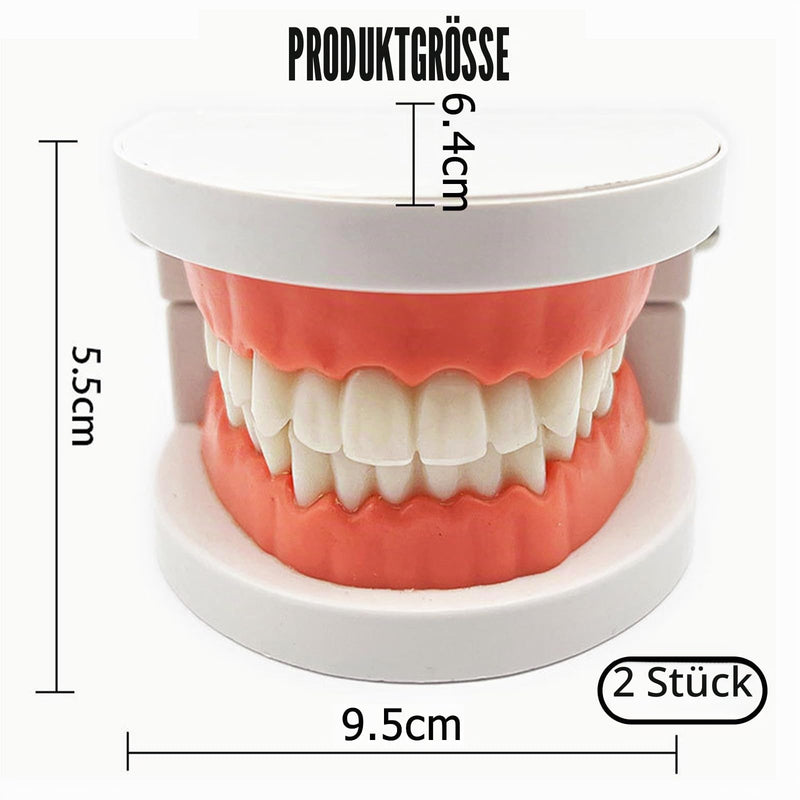 Teeth Dental, 2 Pieces Dental Model, Demonstration Model Tooth Model | Teeth model, PVC dental care model demonstration tool teeth model standard for teaching, dental teaching, oral care