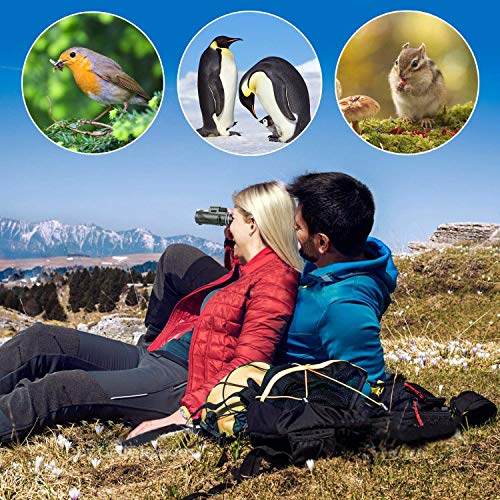 Pankoo 40x60 HD High Power Adult Monocular with Tripod and Smartphone Adapter - Ideal for Birdwatching, Hiking, Traveling Concerts - BAK4 Prism, Clear Colors, Durable and Portable Military Green