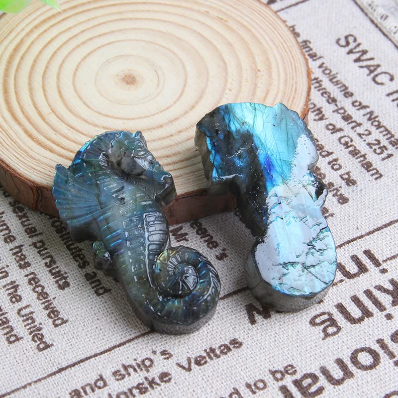 Wixine1Pcs Labradorite Hand Carved The Sea Horse Quartz Crystal Healing