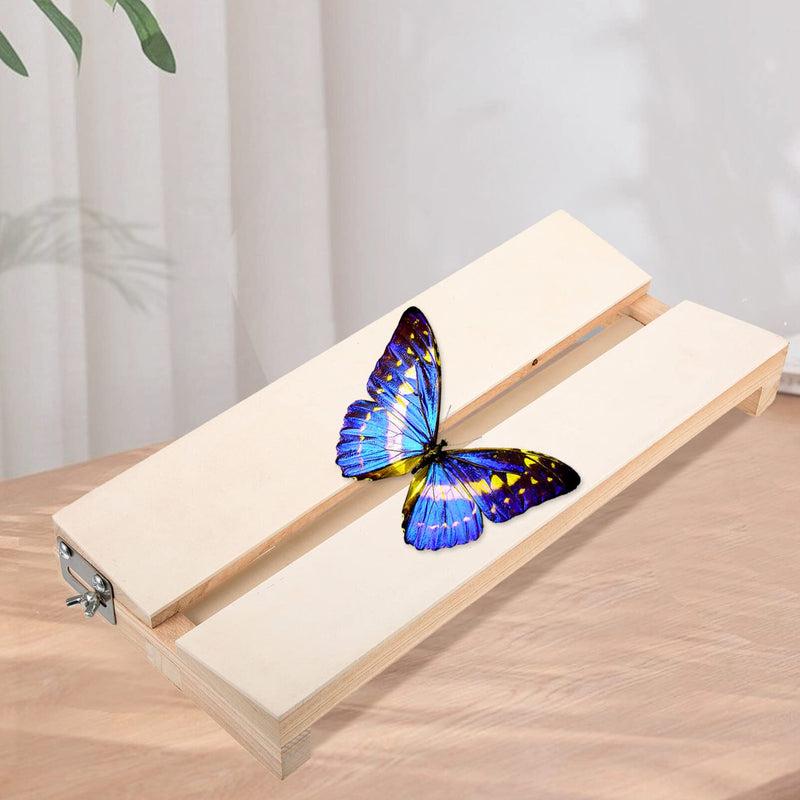 [Australia - AusPower] - Butterfly Mounting Spreading Board Display Board Pinning Board Specimen Spreading Board for Science Education 