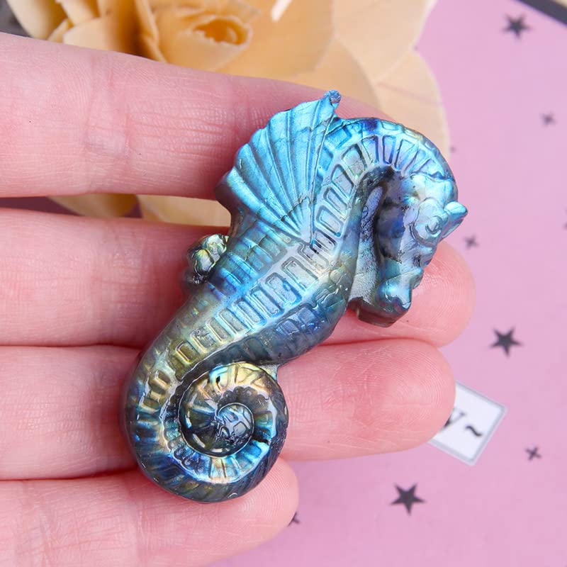 Wixine1Pcs Labradorite Hand Carved The Sea Horse Quartz Crystal Healing