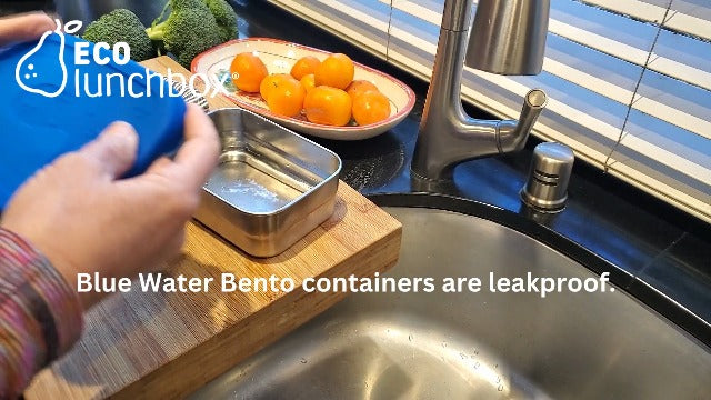 Ecolunchbox Splash Box and Pod set with stainless steel bento lunch boxes and leak-proof snack containers on a white background.