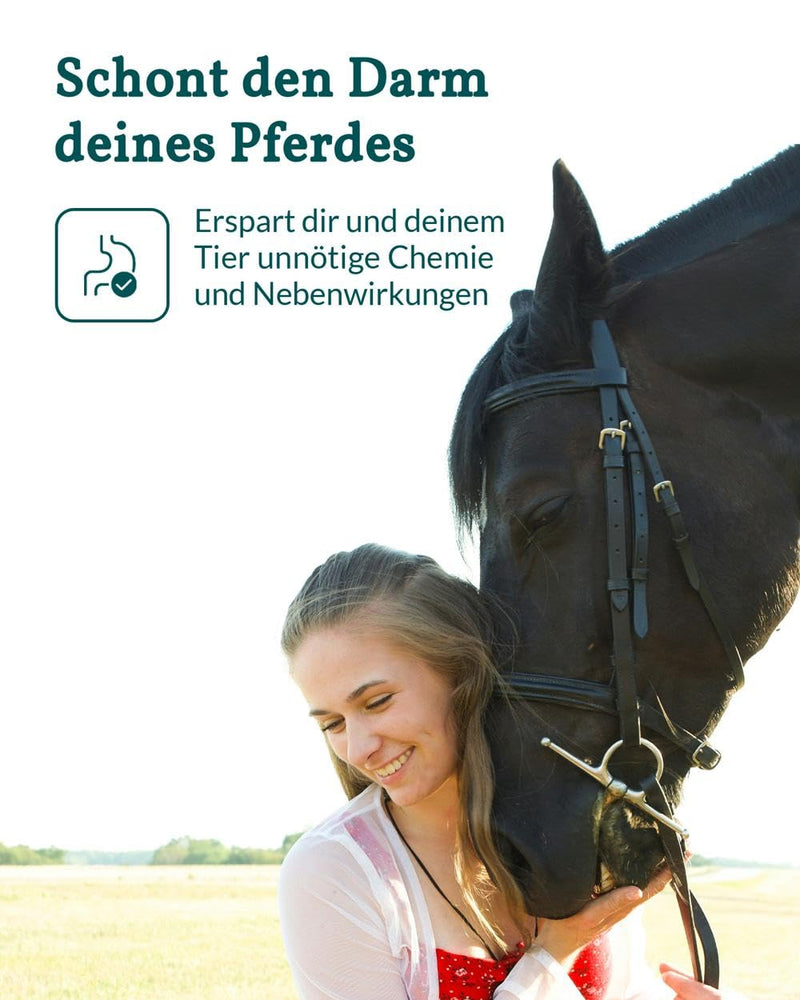 [Australia - AusPower] - vetevo Worm Test Plus Horse Including Tapeworms, Lungworms Test & Egg Counting, 10 x Horse Worm Test for Roundworms, Strongylides, Liver Fluke etc. 