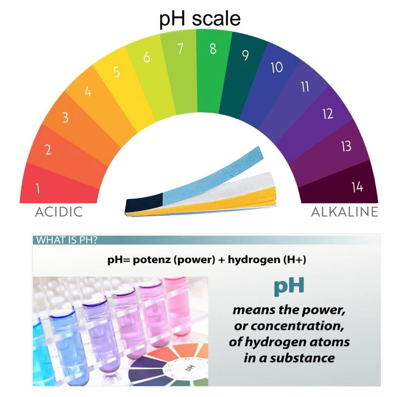 [Australia - AusPower] - pH Test Strips 200 Strips Range pH 1-14 Test Paper Extensive Test Paper (200 Strips with Strong Storage case, Dropper Included) 