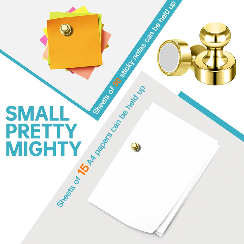 [Australia - AusPower] - Pack of 8 Gold Magnets Cute Magnets for Fridge Refrigerator Magnets Adult Push Pin Magnets for Whiteboard Small Magnets for Hobbies Crafts Science Office Pack of 8 