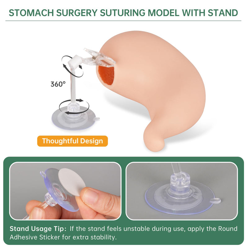 [Australia - AusPower] - Hollow Stomach Suturing Model - Hollow Organ Suture Practice Kit, Medical Nursing Student Supplies, Suture kit Perfect for Medical Students & Vet Training 