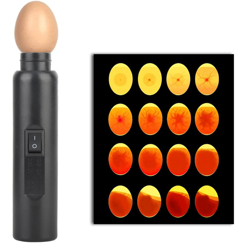 [Australia - AusPower] - Milltrip LED Egg Candler Tester - Mini Light Tester for Chicken/Duck/Bird Egg Fertility Testing & Hatching Monitoring, Ideal for Farmers, Schools, Science Projects 