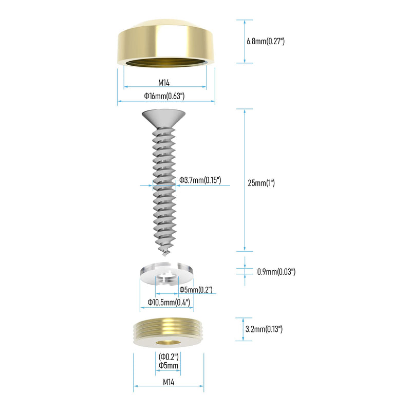 [Australia - AusPower] - 8 PCS 16mm(0.63") Mirror Screws, Brass Decorative Caps Cover Fasteners, Metal Mirror Nails, Polished Beveled Gold Lid (Bright Gold) 