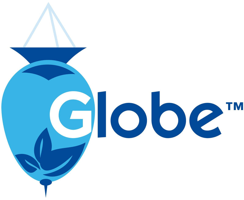 [Australia - AusPower] - Globe Triple Antibiotic First Aid Ointment, 1 Oz. | 24-Hour Infection Protection, Treatment for Minor Scrapes, Burns and Cuts | (1 Tube) 1 Ounce (Pack of 1) 