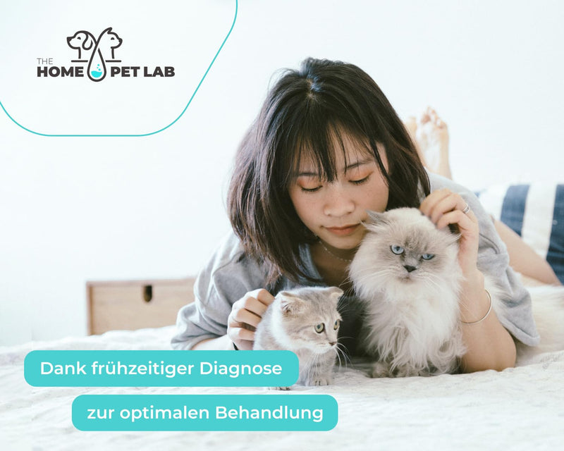 The Home Pet Lab 2 x Parvo Quick Test Dog & Cat - Parvovirus Test Reliable for Cat Disease Suspected (CPV, FPV) - For Dogs & Cats for Parvovirosis (2 x Test)