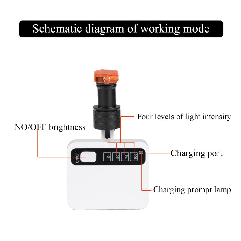 [Australia - AusPower] - Dental 5W Adjustable Headlamp LED Headlight Clip Magnetic Square Light with 2 Batteries for Surgical Magnification Binocular 