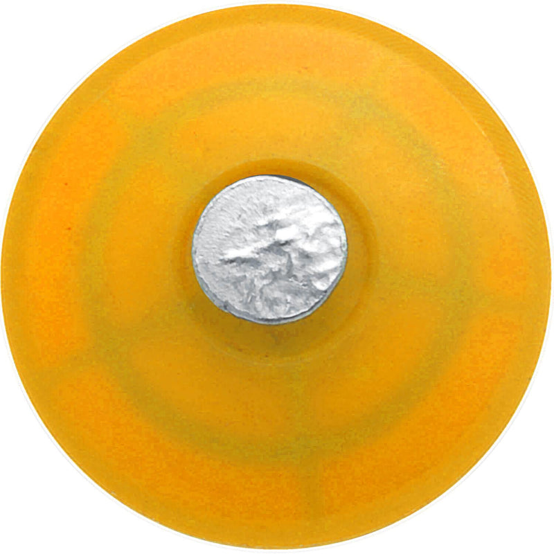 [Australia - AusPower] - 3 Inch Plastic Cap Ring Shank Nail - Small Box 1.2 POUNDS ~130 Nails 