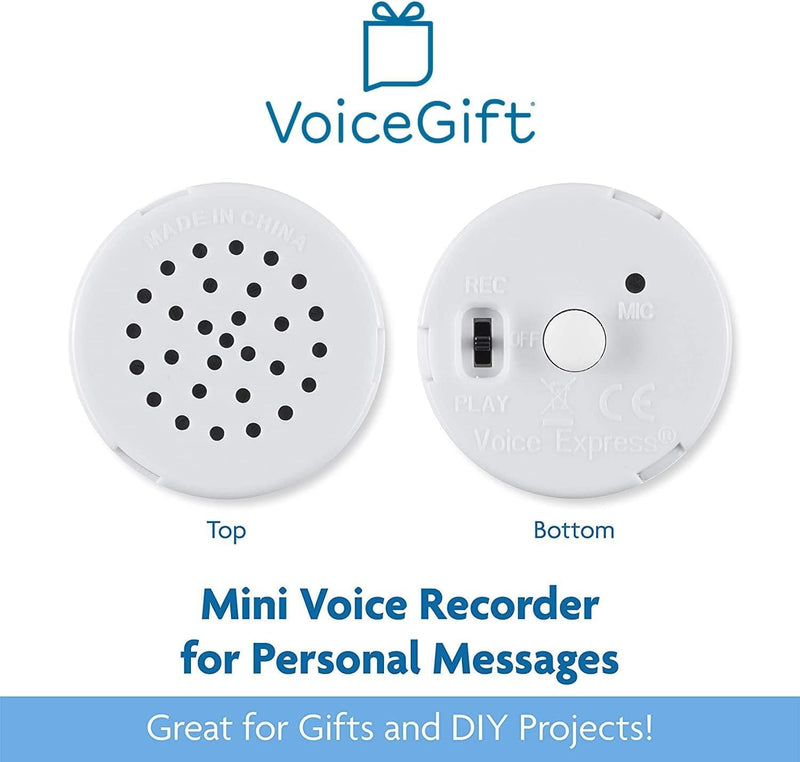 [Australia - AusPower] - 60 Second Multi-Message Voice Recorder, Record Custom Messages for Plush Toy, Stuffed Bear Toy, Baby Doll Toy, and Pillow - 2 Pack 60 Sec - Pack of 2 