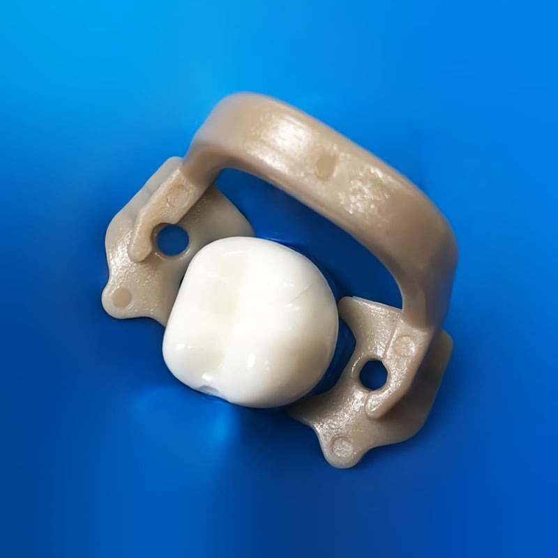 [Australia - AusPower] - Dental Rubber Dam Clamps Resin Rubber Barrier Clip Dental Endodental Rubber Dam Holder Autoclavable Dental Dentist Tools 